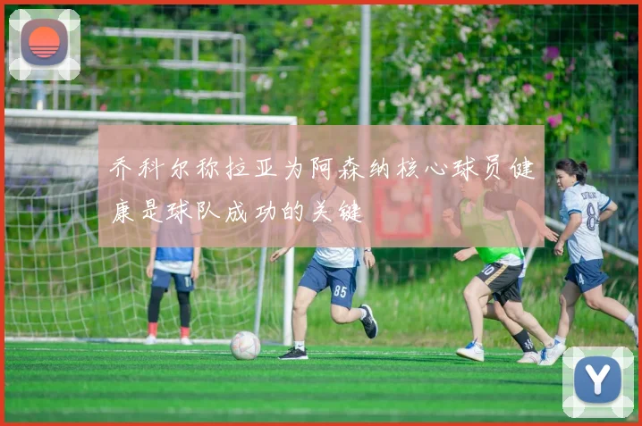 乔科尔称拉亚为阿森纳核心球员健康是球队成功的关键